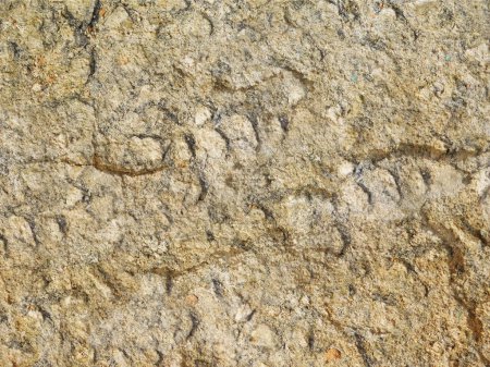 Téléchargez les photos : Texture de vieux mur de pierre avec des fissures - en image libre de droit