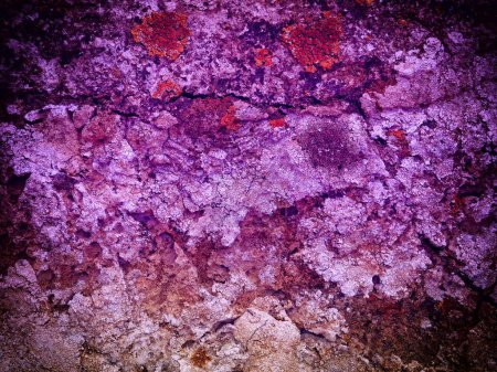 Photo for Close-up shot of tinted purple Stone Texture for background - Royalty Free Image