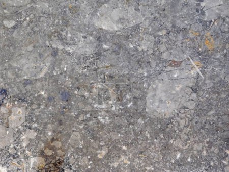 Téléchargez les photos : Texture de marbre extérieur dans le jardin - en image libre de droit