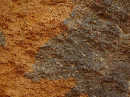 Foto de Textura de piedra en el jardín - Imagen libre de derechos