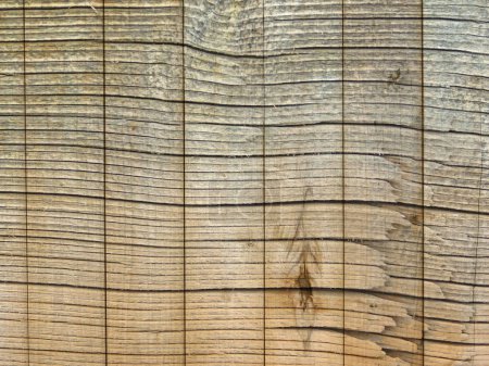 Photo for Wood Texture Outdoors In The Garden for background - Royalty Free Image