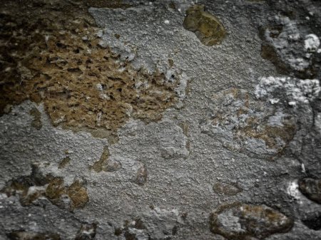 Photo for Dark Stone Texture In The Garden - Royalty Free Image