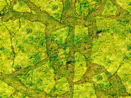 Téléchargez les photos : Pierres vertes Texture, fond abstrait - en image libre de droit
