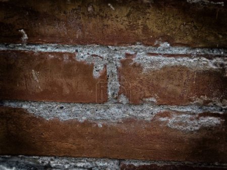 Photo for Close-up shot of brick wall texture for background - Royalty Free Image