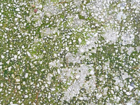 Téléchargez les photos : Texture de pierre dans le jardin pour le fond - en image libre de droit
