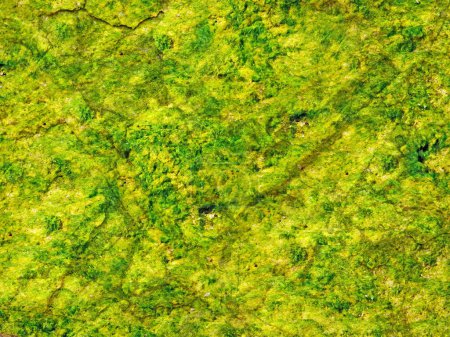 Téléchargez les photos : Pierres vertes Texture, fond abstrait - en image libre de droit