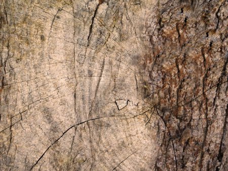 Téléchargez les photos : Ancienne texture de bois pour le fond - en image libre de droit