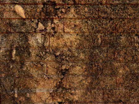 Téléchargez les photos : Texture de pierre dans le jardin - en image libre de droit