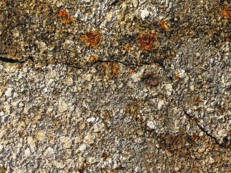 Photo for Stone texture for background - Royalty Free Image