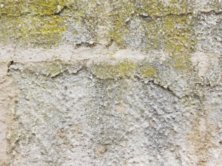 Photo for Stone Texture Outdoors In The Garden - Royalty Free Image