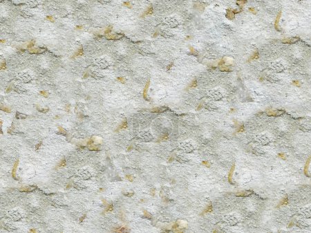 Foto de Textura de piedra en el jardín para el fondo - Imagen libre de derechos