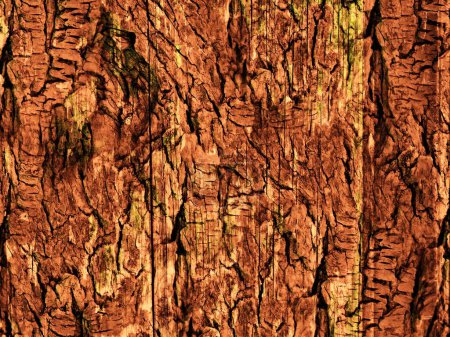Photo for Dark Brown Wood Texture for background - Royalty Free Image