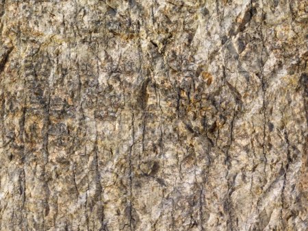 Photo for Stone texture outdoors in garden, close up view - Royalty Free Image