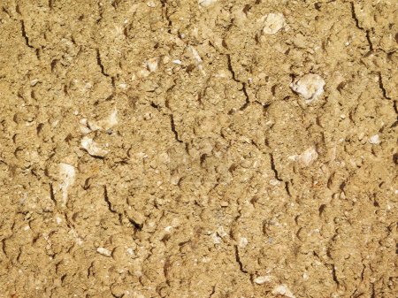Photo for Soil texture background, ground close up - Royalty Free Image