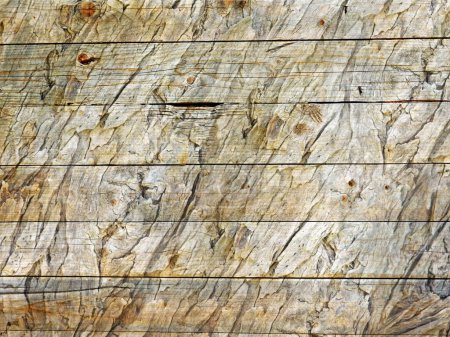 Foto de Viejo fondo de textura de madera natural - Imagen libre de derechos