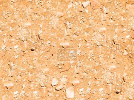 Photo for Soil texture background, ground close up - Royalty Free Image