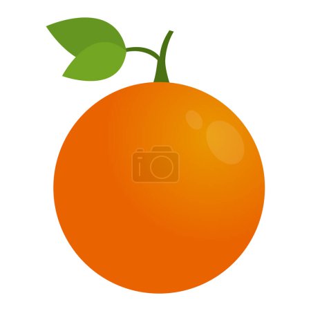 Ilustración de Diseño aislado de fruta naranja - Imagen libre de derechos