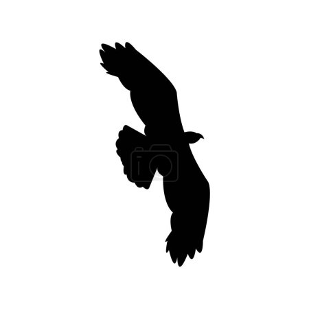Ilustración de Silueta de pájaro águila aislada en blanco - Imagen libre de derechos
