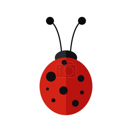 Illustration for Isolated ladybug insect icon - Royalty Free Image