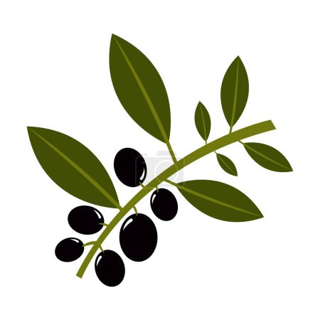 Téléchargez les illustrations : Olives icône design, illustration vectorielle - en licence libre de droit