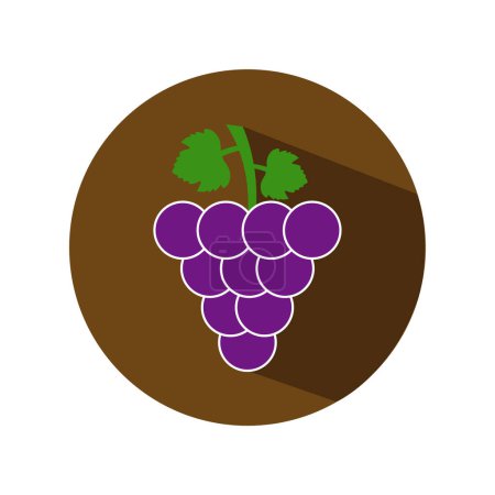 Ilustración de Uvas maduras frescas vector de fruta diseño de ilustración - Imagen libre de derechos