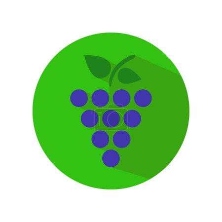 Téléchargez les illustrations : Illustration vectorielle de fruits de raisin frais mûr - en licence libre de droit