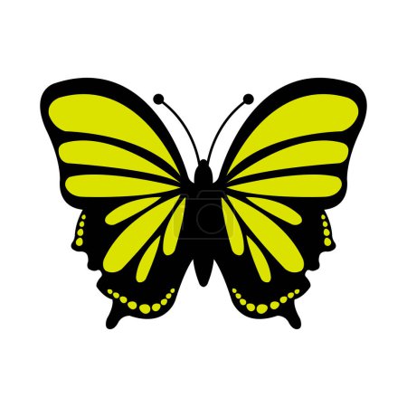 Téléchargez les illustrations : Butterfly on white background vector illustration design - en licence libre de droit