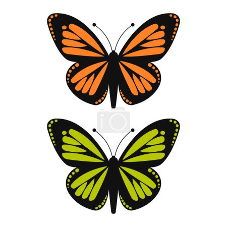 Téléchargez les illustrations : Butterflis isolé sur fond blanc - en licence libre de droit