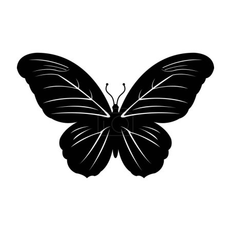 Illustration for Butterfly isolated on white background - Royalty Free Image