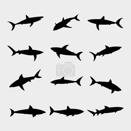 Ilustración de Conjunto de siluetas de pez tiburón aisladas sobre fondo blanco - Imagen libre de derechos