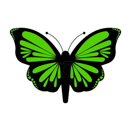 Ilustración de Mariposa, ilustración vectorial, aislado, fondo blanco. - Imagen libre de derechos