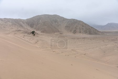 Téléchargez les photos : Ville sacrée de Caral-Supe site archéologique au Pérou. - en image libre de droit