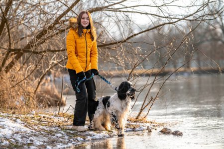 a girl with a dog by a frozen lake. english setter. High quality photo