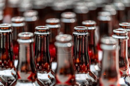 Foto de Botellas de cerveza de vidrio vacías en la fábrica de cerveza. Foto de alta calidad - Imagen libre de derechos