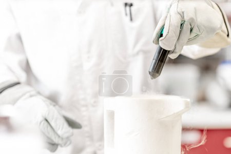 Photo for Scientific experiments with liquid nitrogen in a research laboratory. - Royalty Free Image