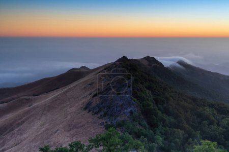 Téléchargez les photos : Above the fog at Fremont Peak in San Benito and Monterey Counties, California, USA. - en image libre de droit