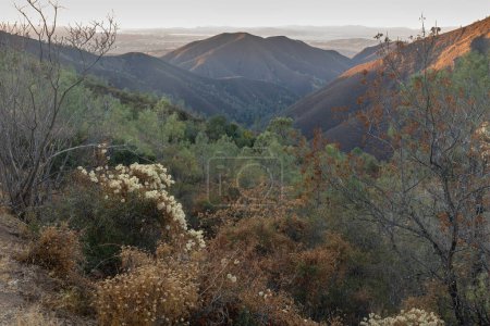 Photo for Sunset over Mt Olympia and Mitchell Canyon via Deer Flat. Mt Diablo State Park, Contra Costa County, California, USA. - Royalty Free Image