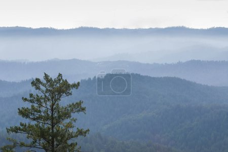 Photo for Sweeping Views of Santa Cruz Mountains via Castle Rock State Park in Northern California. - Royalty Free Image