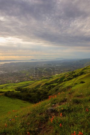 Ansichten aus dem Silicon Valley mit blühenden kalifornischen Mohnblumen über Mission Peak Regional Preserve, Alameda County, Kalifornien.