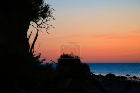 Photo for Steep coast on the island of Poel at sunset with a view of the pastel sky over rocks lying in the Baltic Sea. Landscape shot from the coast - Royalty Free Image