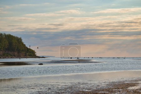Photo for Island Poel on the steep coast to the Baltic Sea. Break-off edge with tree on the slope. Coastal landscape in summer. Vacation resort - Royalty Free Image