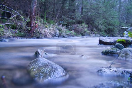 Langzeitbelichtungsaufnahme eines Flusses, Stein im Vordergrund. Wald im Hintergrund. Malerische Natur