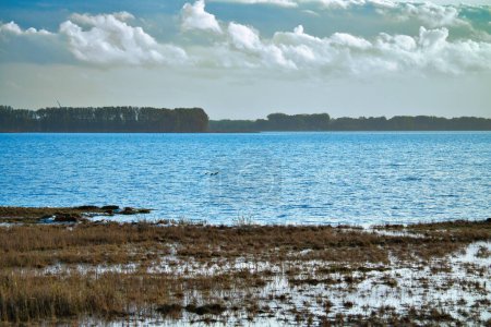 Téléchargez les photos : Nuages légers dans le ciel sur le Bodden à Zingst sur la péninsule de la mer Baltique. Paysage boisé avec prairies. Réserve naturelle sur la côte. Photographie de paysage - en image libre de droit