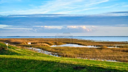 Photo for Light clouds in the sky on the Bodden in Zingst on the Baltic Sea peninsula. Bodden landscape with meadows. Nature reserve on the coast. Landscape photograph - Royalty Free Image