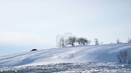 Norwegisches Hochgebirge im Schnee. Hügel mit kahlen Bäumen. Verschneite Landschaft in Skandinavien