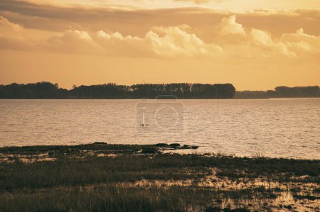 Coucher de soleil sur le Bodden à Zingst sur la péninsule de la mer Baltique. Paysage boisé avec prairies. Réserve naturelle sur la côte. Photographie de paysage
