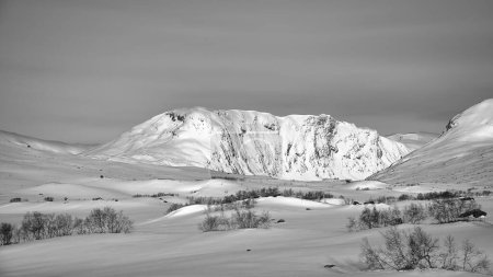 Norwegisches Hochgebirge im Schnee. Schwarz-weiße schneebedeckte Berge. Verschneite Landschaft in Skandinavien