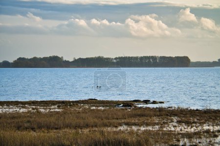 Nuages légers dans le ciel sur le Bodden à Zingst sur la péninsule de la mer Baltique. Paysage boisé avec prairies. Réserve naturelle sur la côte. Photographie de paysage
