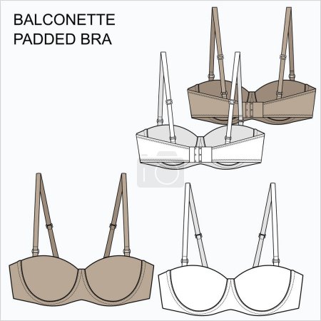 Illustration for Technical Sketch of PADDED BALCONETTE BRA in beige and white color. Editable underwear flat fashion sketch - Royalty Free Image