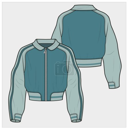 Illustration for Crop bomber jacket with raglan sleeves detail for women and teen girls - Royalty Free Image